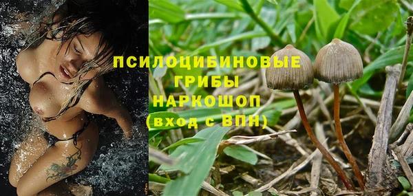 мдма Каменногорск