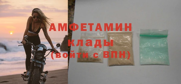 твердый Инсар