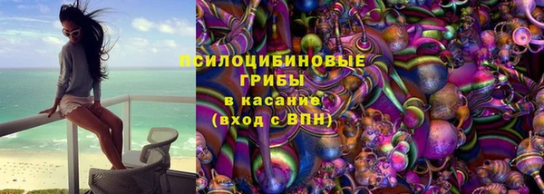бутират Каменка