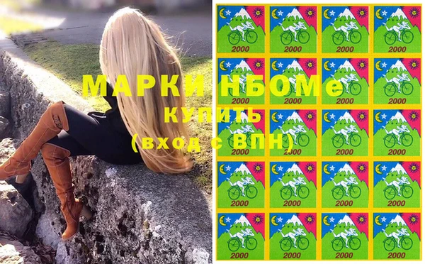твердый Инсар