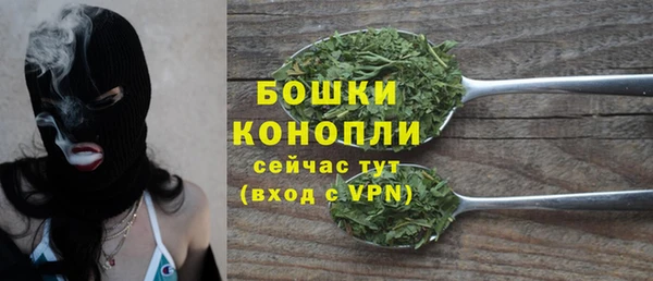 твердый Инсар