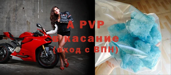 твердый Инсар