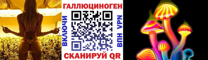 Галлюциногенные грибы Psilocybe Клин