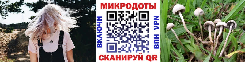 Псилоцибиновые грибы прущие грибы  Купить где  Клин 